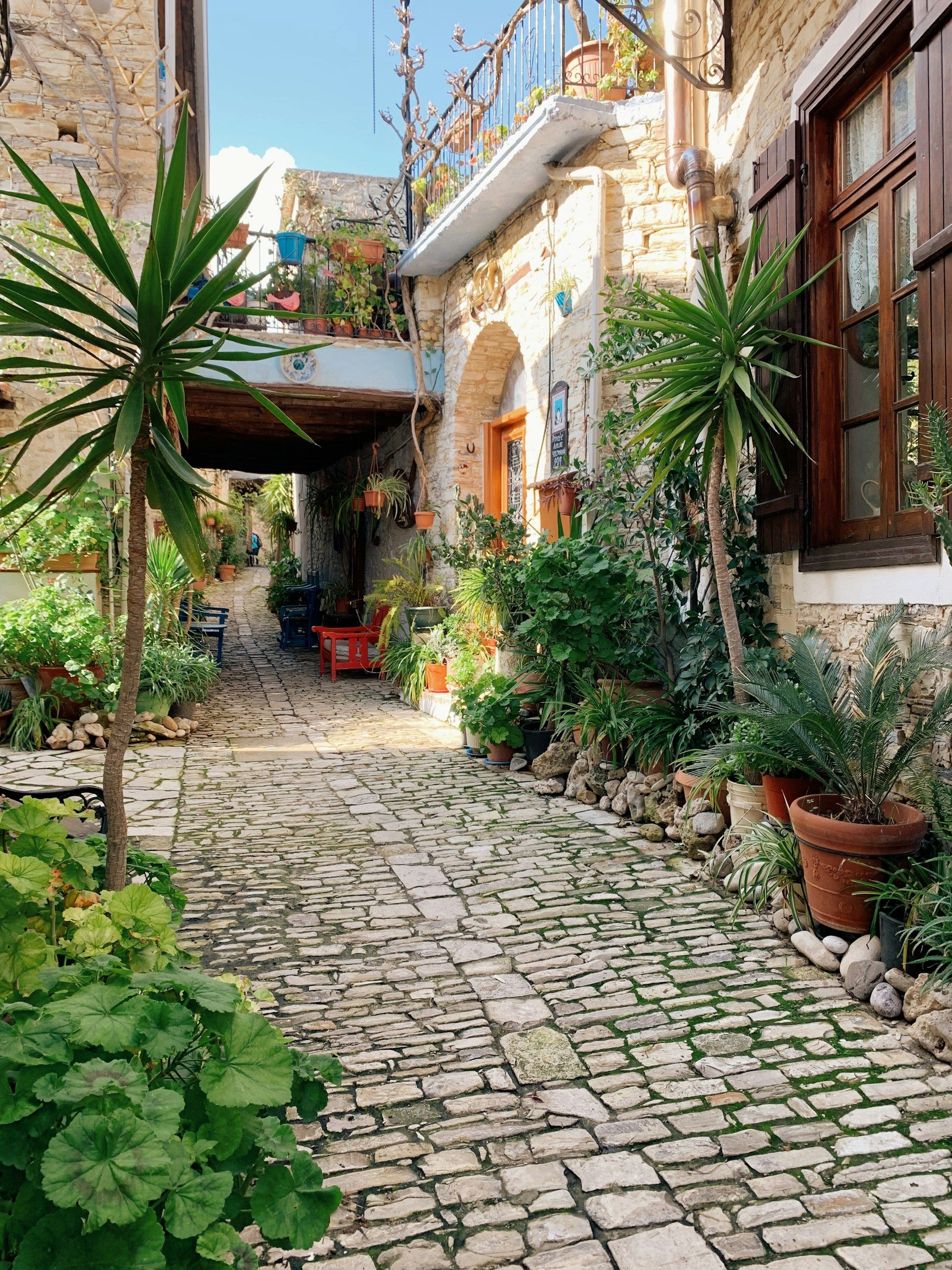 /api/cms/uploads/Cyprus_e24caa4132.jpg