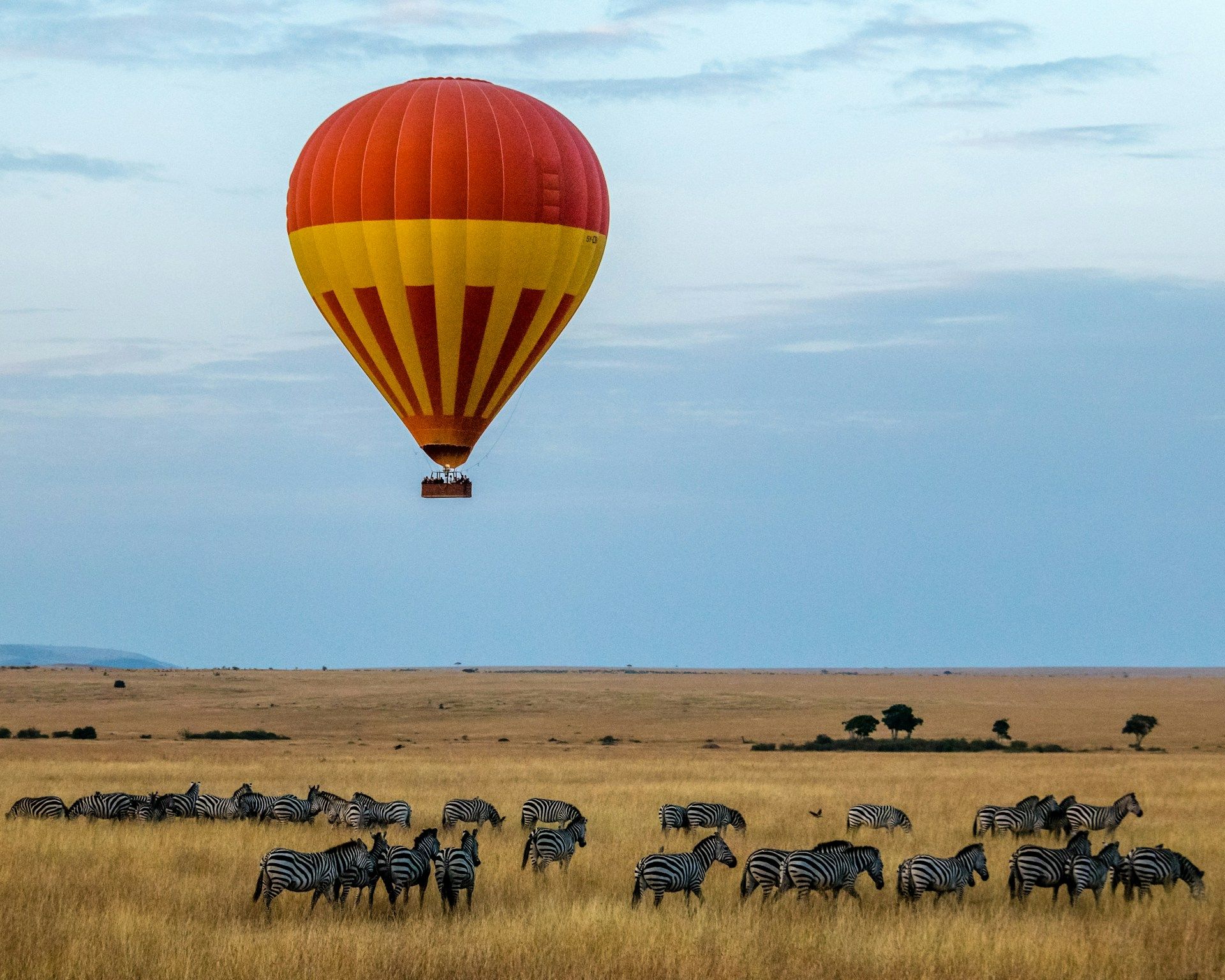 /api/cms/uploads/Kenya_7f220b3e35.jpg