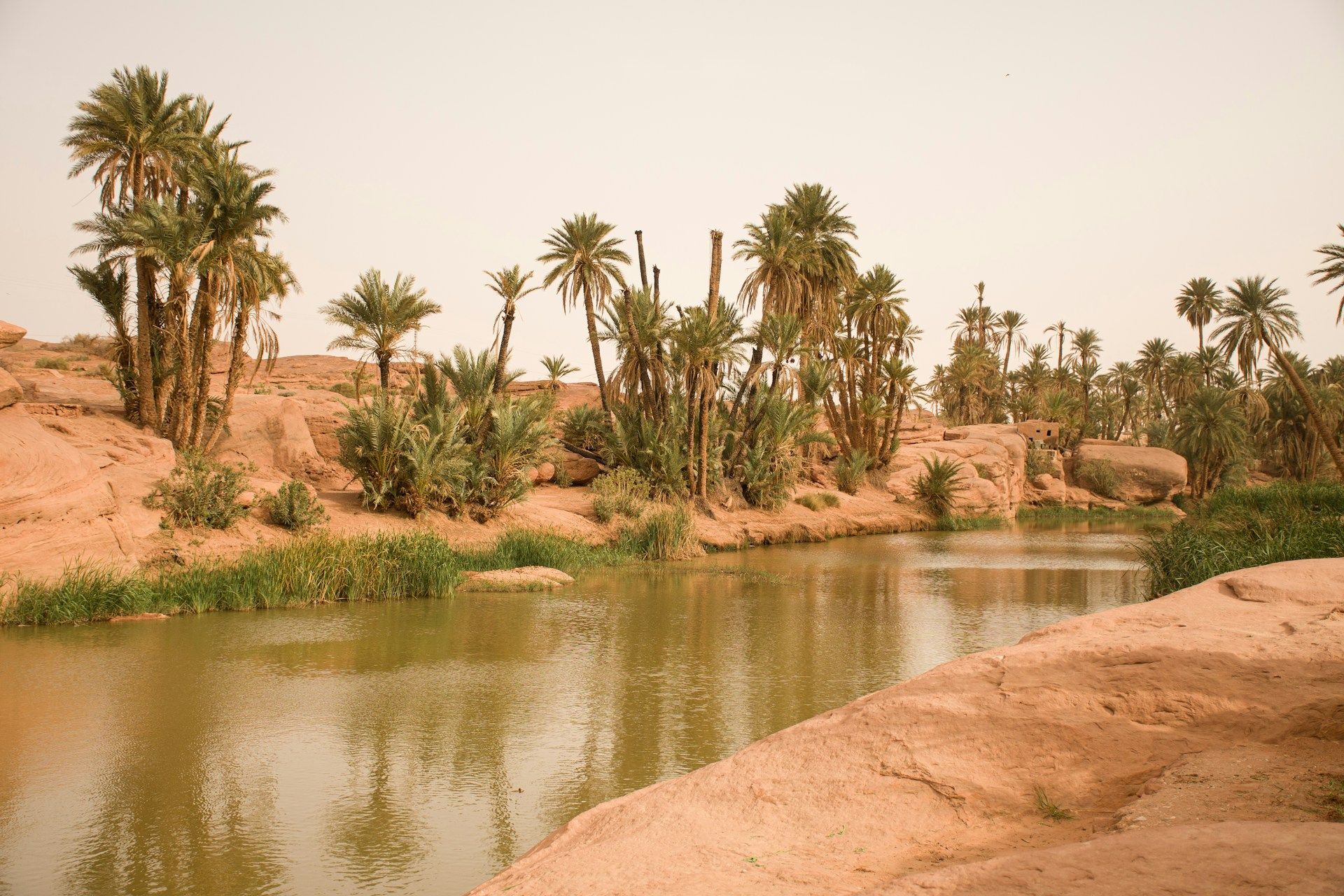 /api/cms/uploads/amara_saleh_j_M27_Q_Sm_Zwh_U_unsplash_33a03cd330.jpg