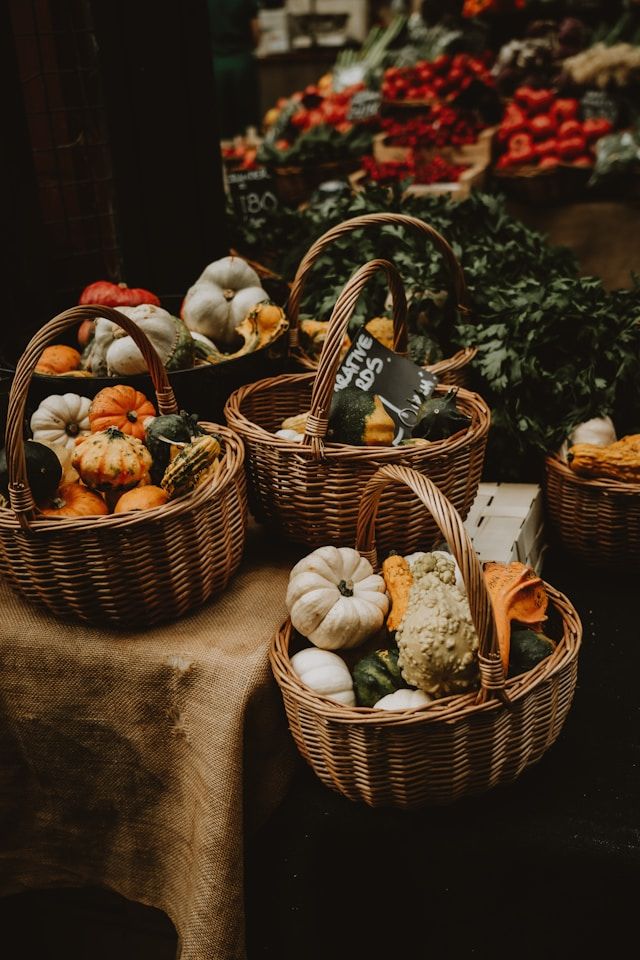 /api/cms/uploads/asta_co_7_VF_5_Nif4_Xy_U_unsplash_d5901897be.jpg