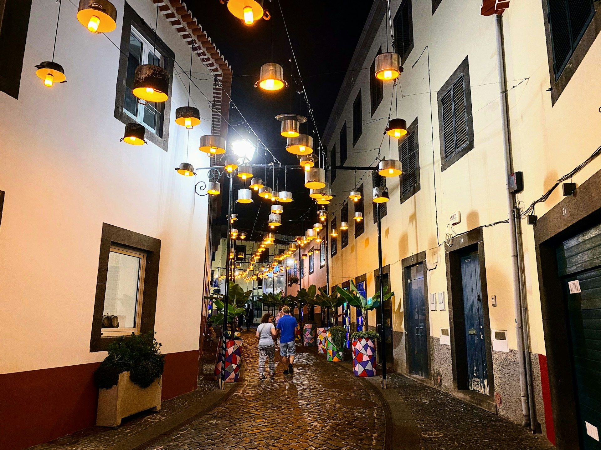 /api/cms/uploads/carla_m_j_gomes_n_OX_Nsgpj_c_Q_unsplash_df04624ecd.jpg