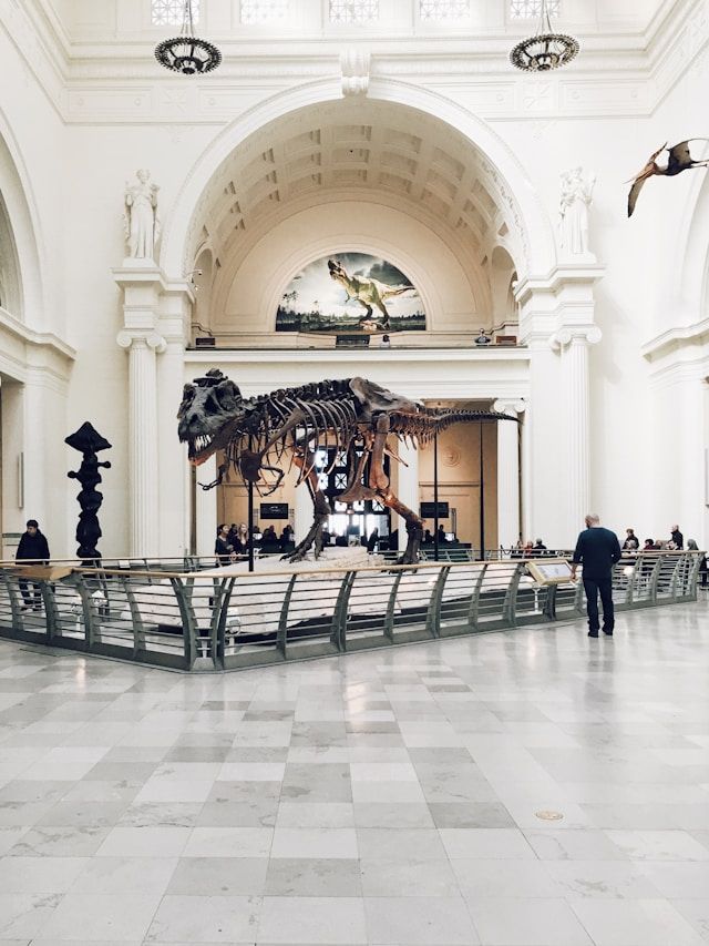 /api/cms/uploads/chris_nguyen_t_Xmc2m_V_Dx_Jc_unsplash_355c852e17.jpg