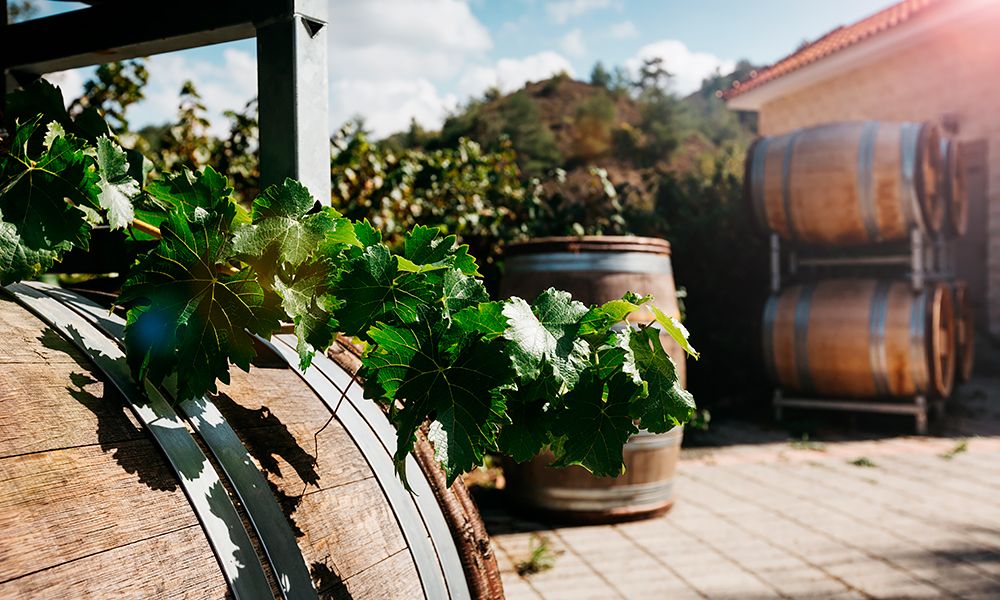 /api/cms/uploads/cyprus_Wine_barrel_with_fresh_grape_leaves_322f78fb19.jpg