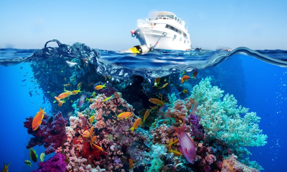/api/cms/uploads/egypt_red_sea_49_min_6b0b14f260.jpg