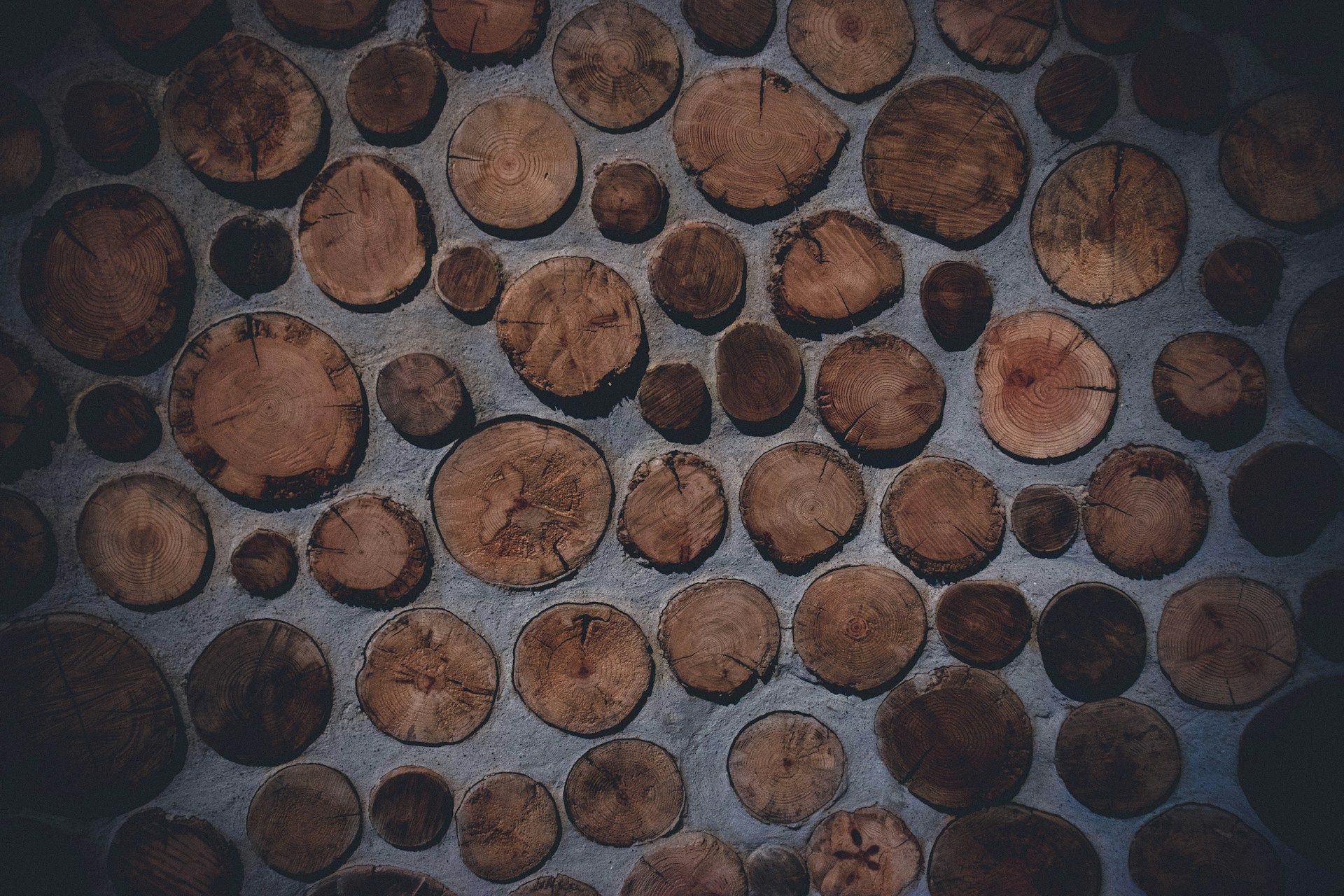 /api/cms/uploads/federico_lancellotti_J3b_288_P_Aw_unsplash_fde742488b.jpg