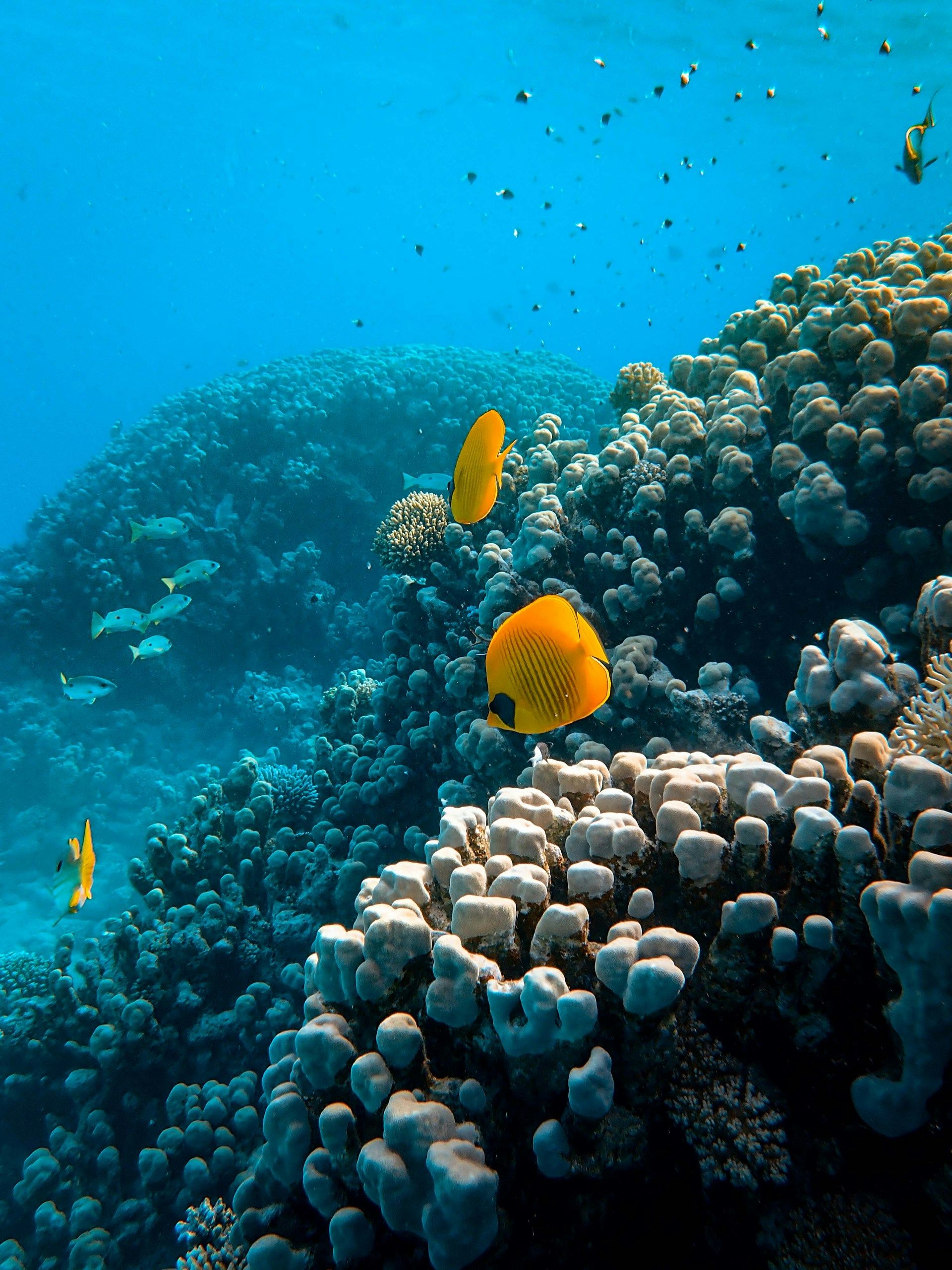 /api/cms/uploads/francesco_ungaro_VRGJDKY_Ur_Ko_unsplash_14f4973930.jpg