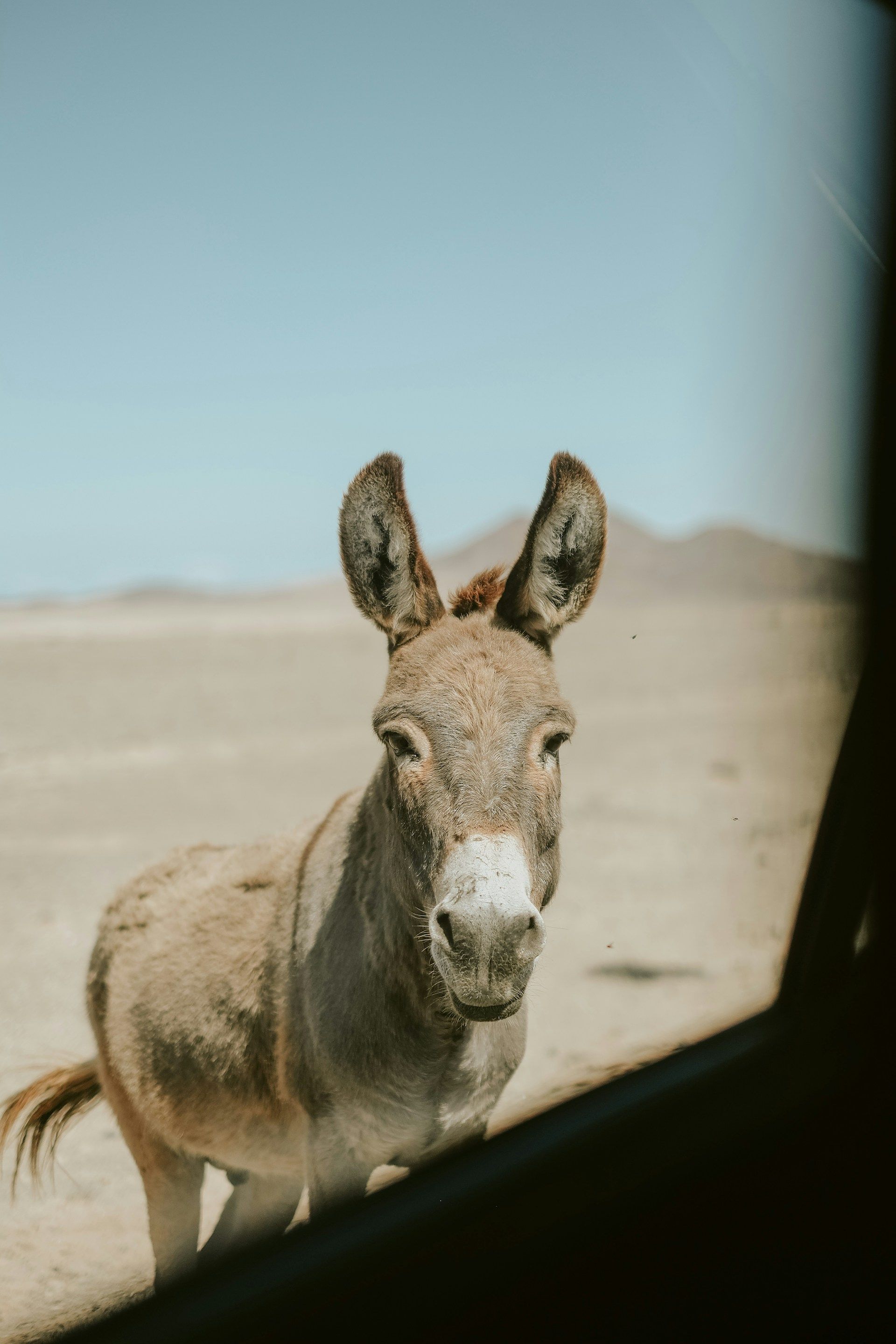 /api/cms/uploads/franzi_meyer_u1_Bc_F9k_F478_unsplash_1f83fab26c.jpg