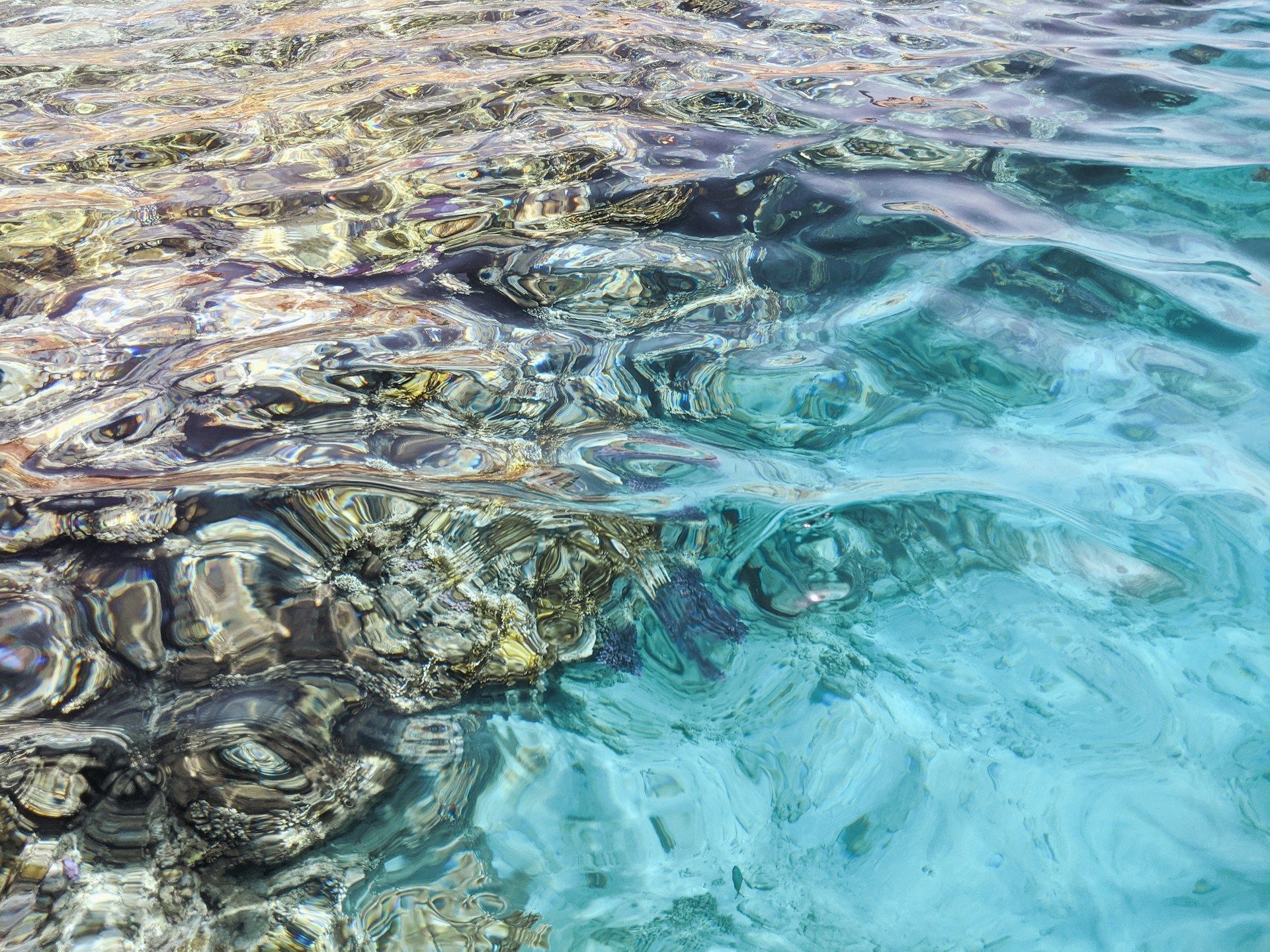 /api/cms/uploads/ivan_rohovchenko_0n_C_8a_Kd7r4_unsplash_68fc2b7015.jpg