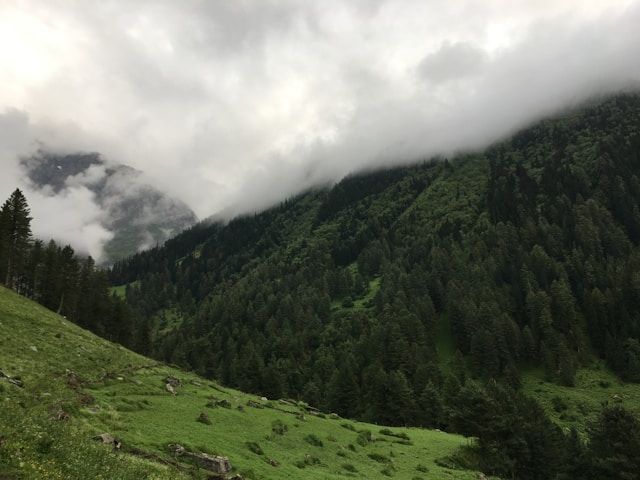 /api/cms/uploads/kaustubh_raj_Gs_FV_B9_Es_Dk_unsplash_7a99688c23.jpg