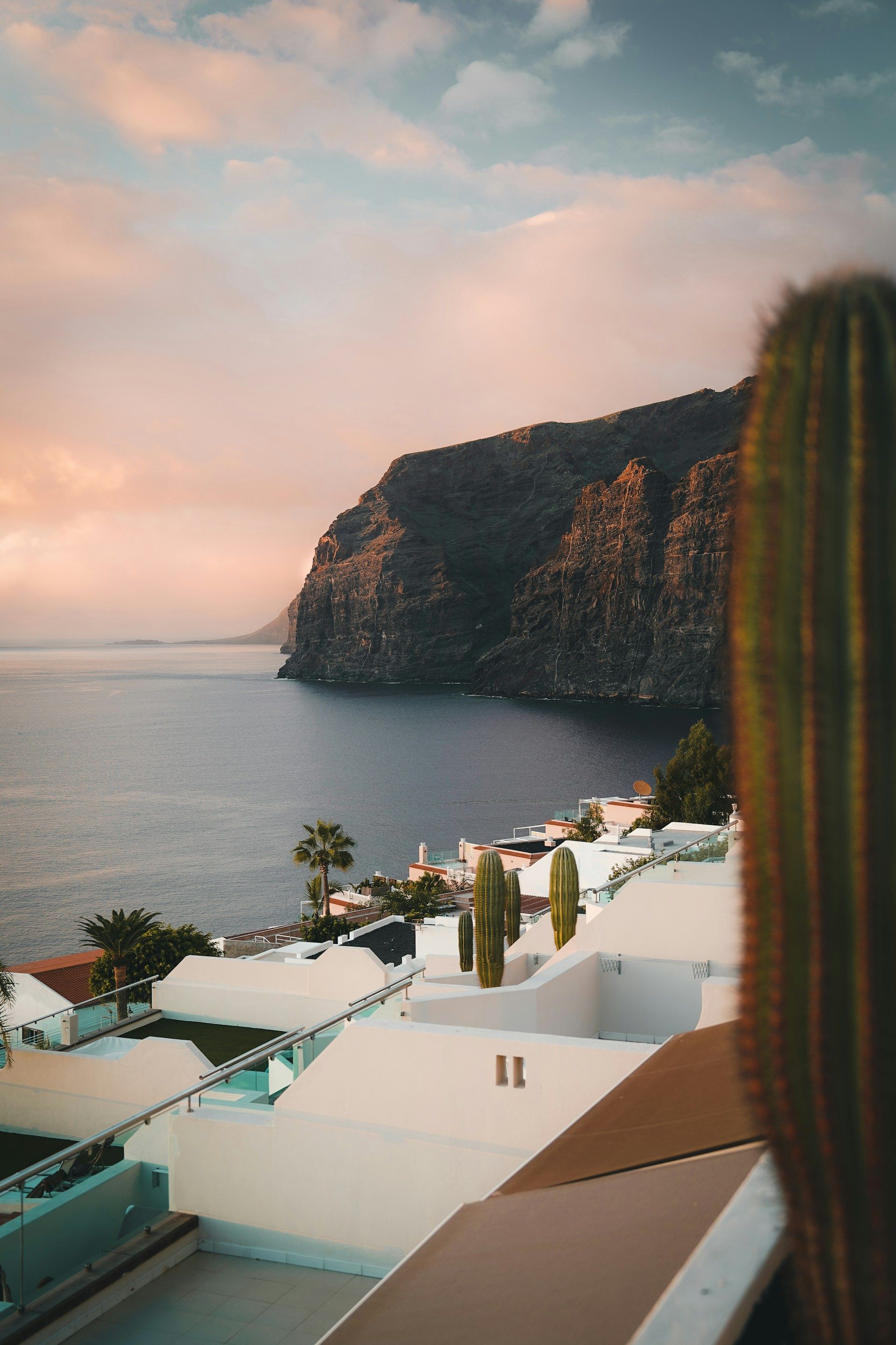 /api/cms/uploads/kevin_charit_bp_YBY_Qn_ITBI_unsplash_44a723f765.jpg