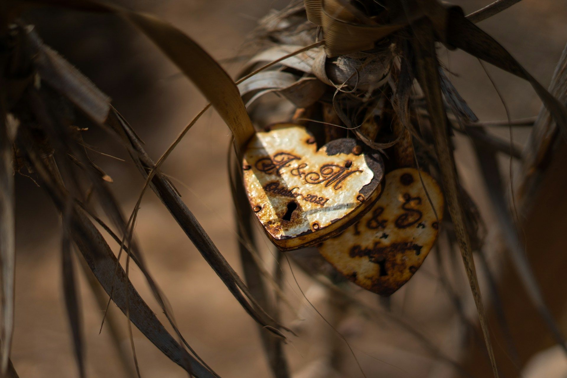 /api/cms/uploads/laurin_vontobel_DQ_w3h_Tb10c_unsplash_d3648e2674.jpg