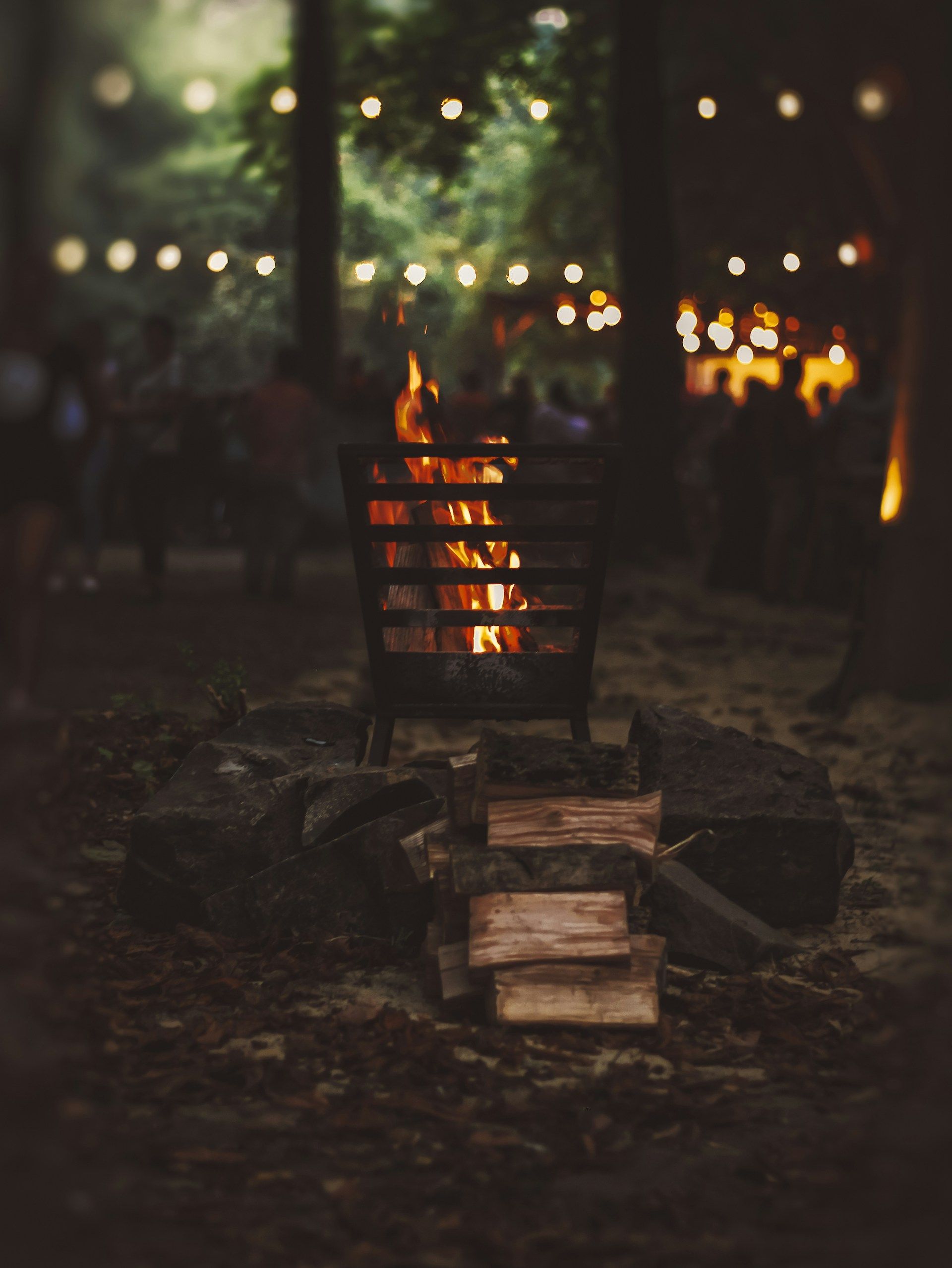 /api/cms/uploads/nastia_petruk_UT_We_Zj_J96_Lk_unsplash_7394f5d4a8.jpg