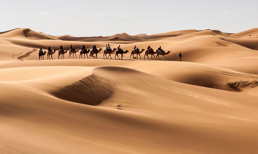 /api/cms/uploads/newscover_Tunisia_05_2024_4c45d50895.jpg