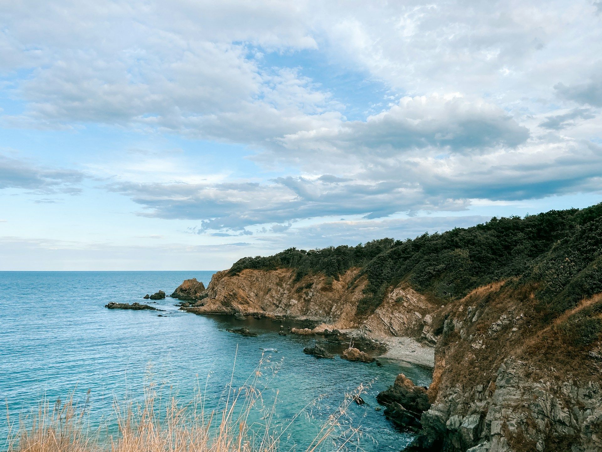 /api/cms/uploads/shery_arturova_5qt_Ah_Hl9_Vo_unsplash_3e40759008.jpg