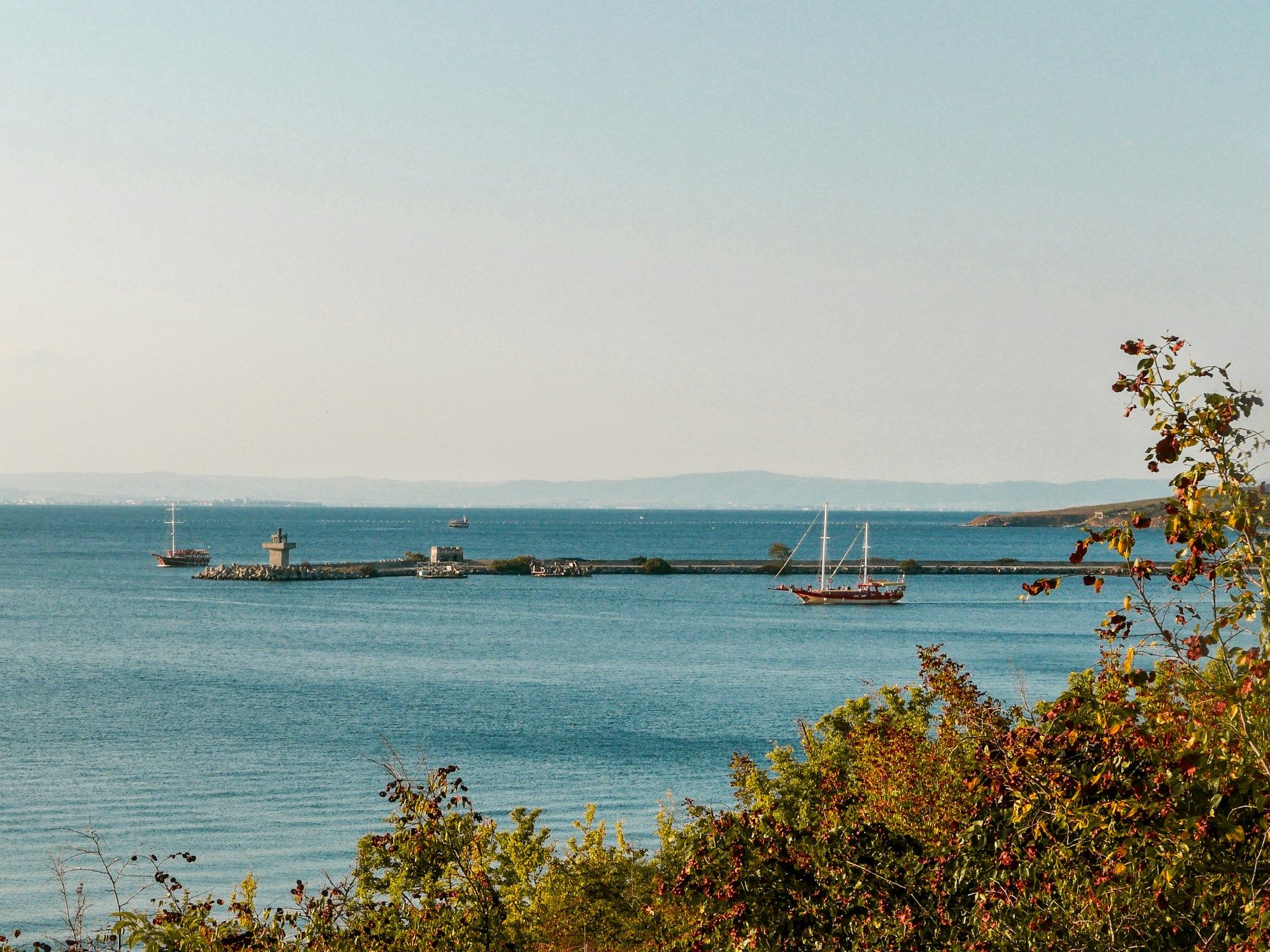 /api/cms/uploads/shery_arturova_84lq36t_Oro_U_unsplash_11bd2b3be6.jpg