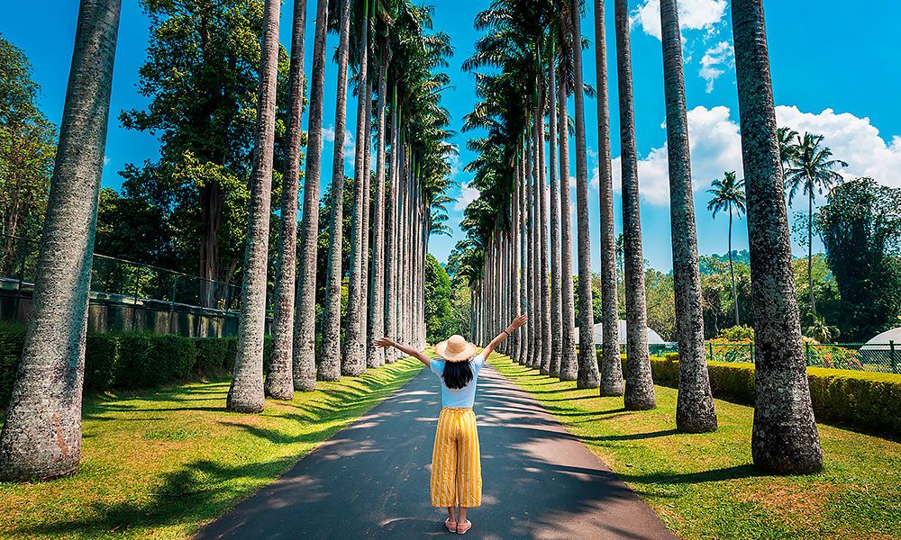 /api/cms/uploads/sri_lanka_Royal_Botanical_Gardens_in_Kandy_Sri_Lanka_2d9899afbf.jpg
