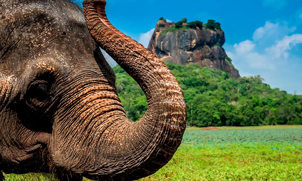 /api/cms/uploads/sri_lanka_sigiriyarock_eabfb978f1.jpg