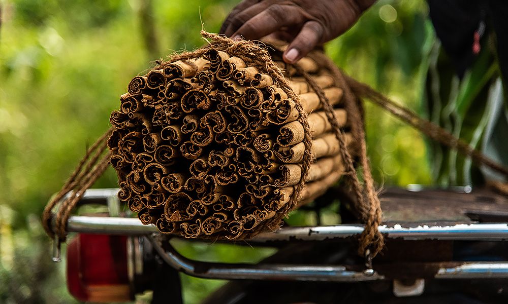 /api/cms/uploads/sri_lanka_spices_1_5f834ad382.jpg