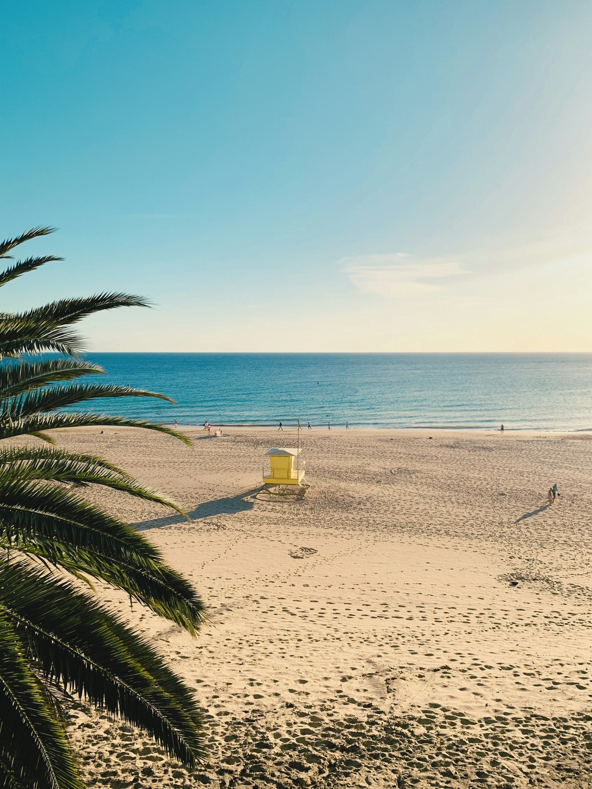 /api/cms/uploads/tobias_bruns_Hk_Ah_NCW_Bk_XA_unsplash_e3abd6fa55.jpg